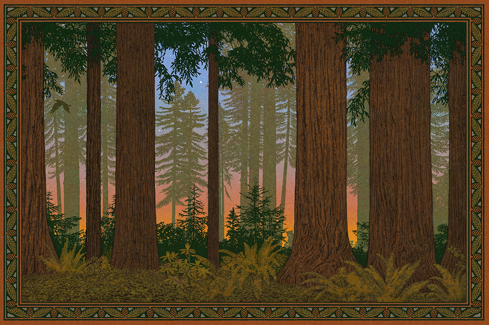 Redwood Art Poster